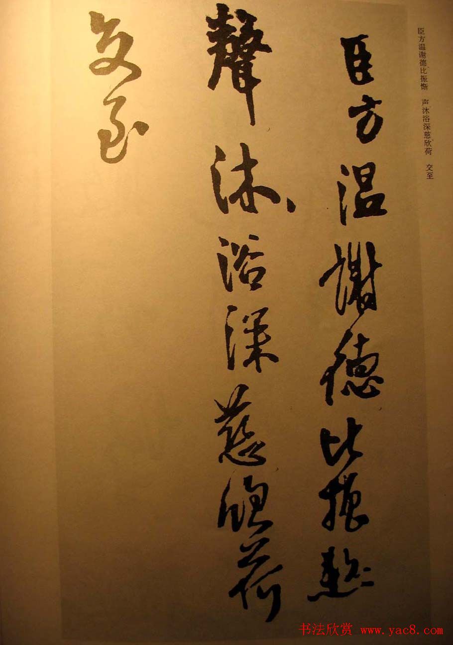 王铎行书欣赏《梁简文帝萧纲骈文摘句》