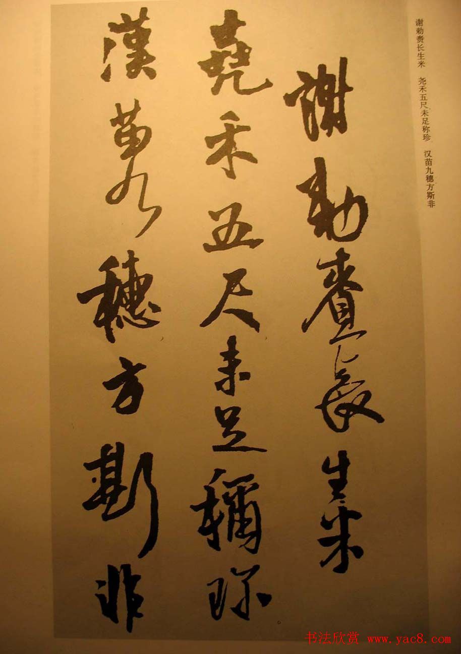 王铎行书欣赏《梁简文帝萧纲骈文摘句》