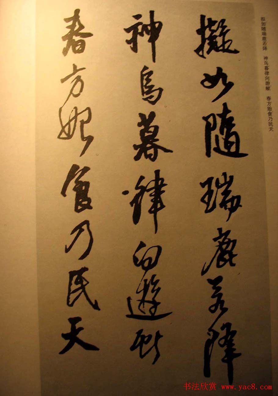 王铎行书欣赏《梁简文帝萧纲骈文摘句》