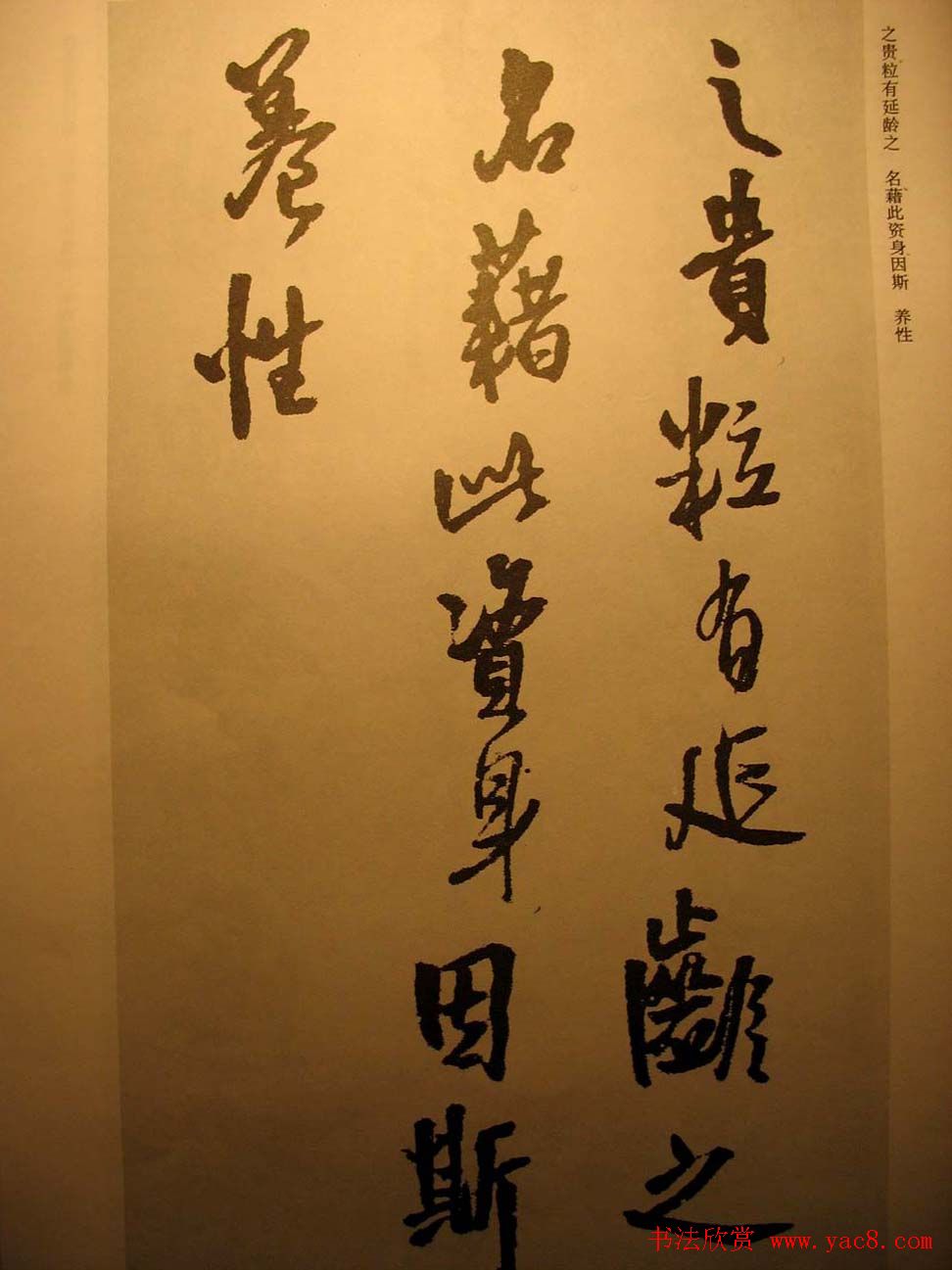 王铎行书欣赏《梁简文帝萧纲骈文摘句》