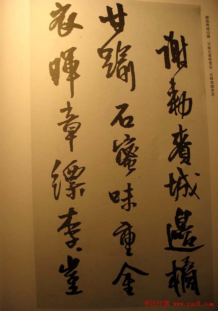 王铎行书欣赏《梁简文帝萧纲骈文摘句》