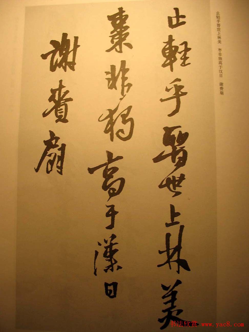 王铎行书欣赏《梁简文帝萧纲骈文摘句》