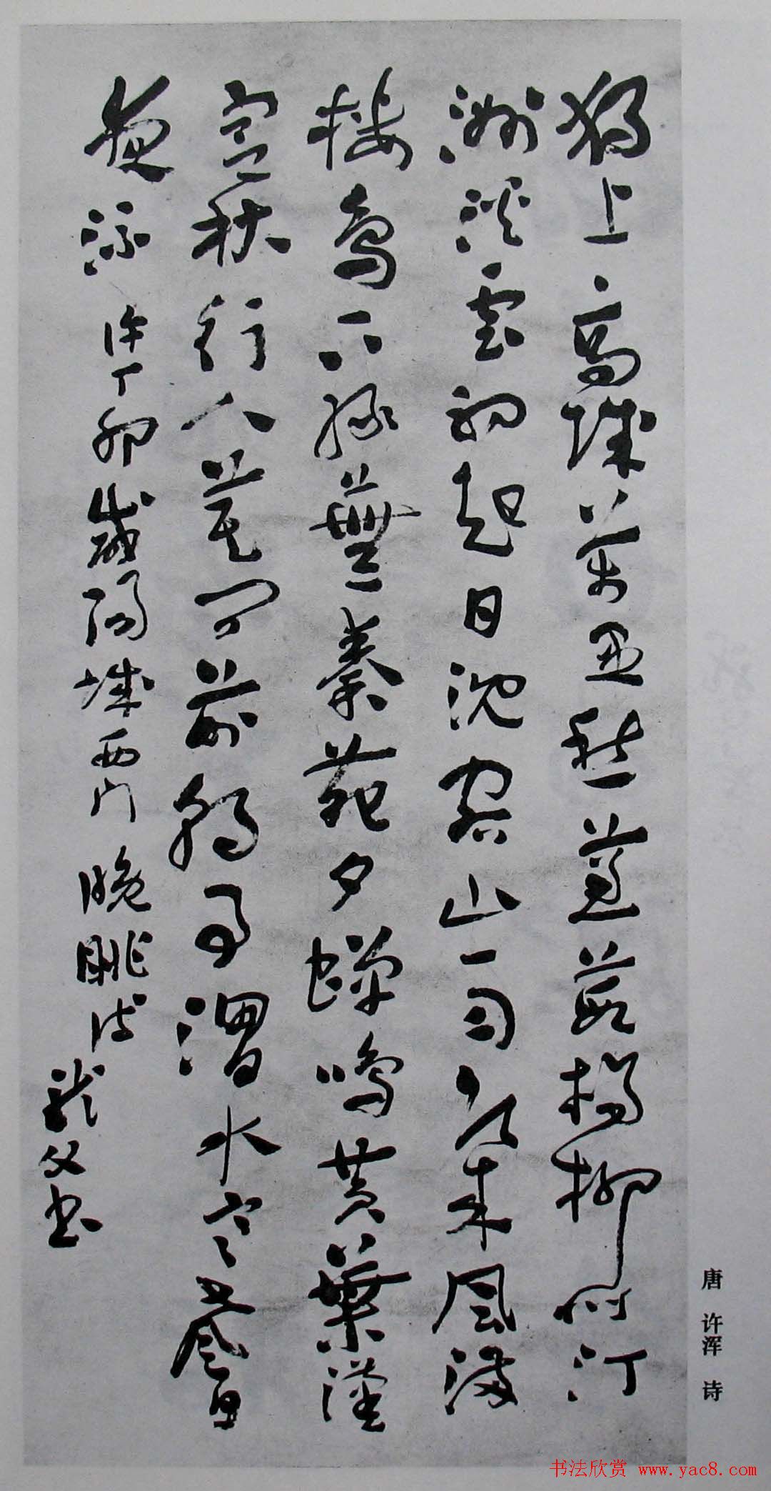 书坛名师《孙龙父书法篆刻选》