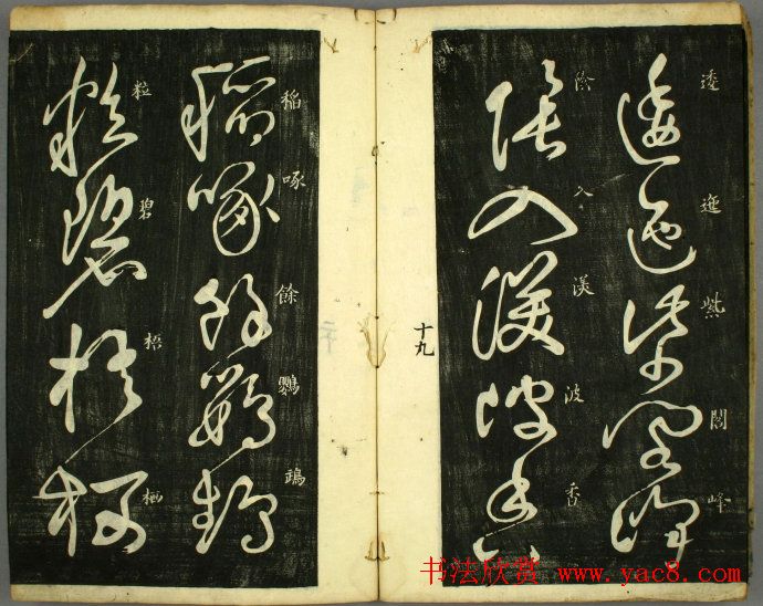 草书欣赏书法古籍《怀素秋兴八首》