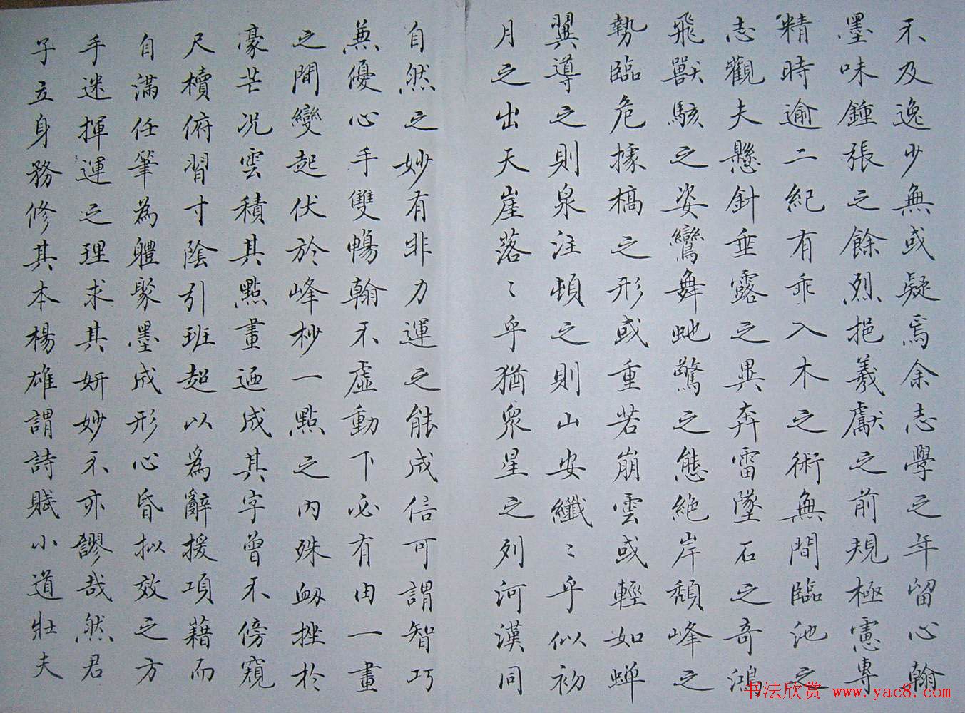 赵思敬小楷书法欣赏《书谱》