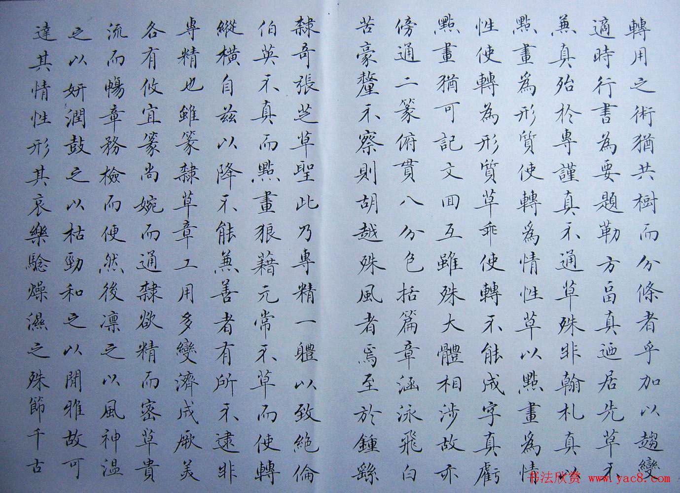 赵思敬小楷书法欣赏《书谱》