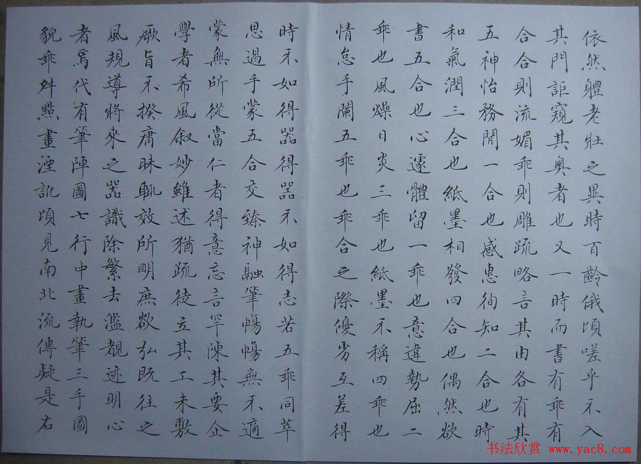 赵思敬小楷书法欣赏《书谱》