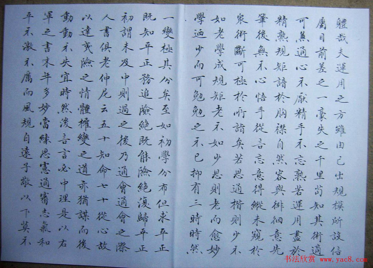 赵思敬小楷书法欣赏《书谱》