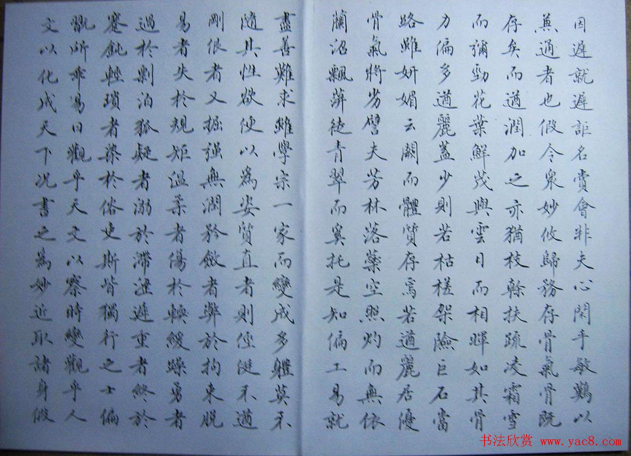 赵思敬小楷书法欣赏《书谱》