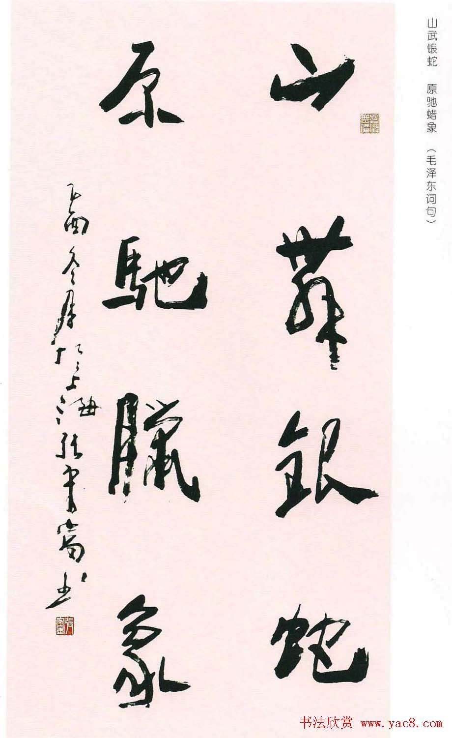 张守富毛笔书法作品欣赏