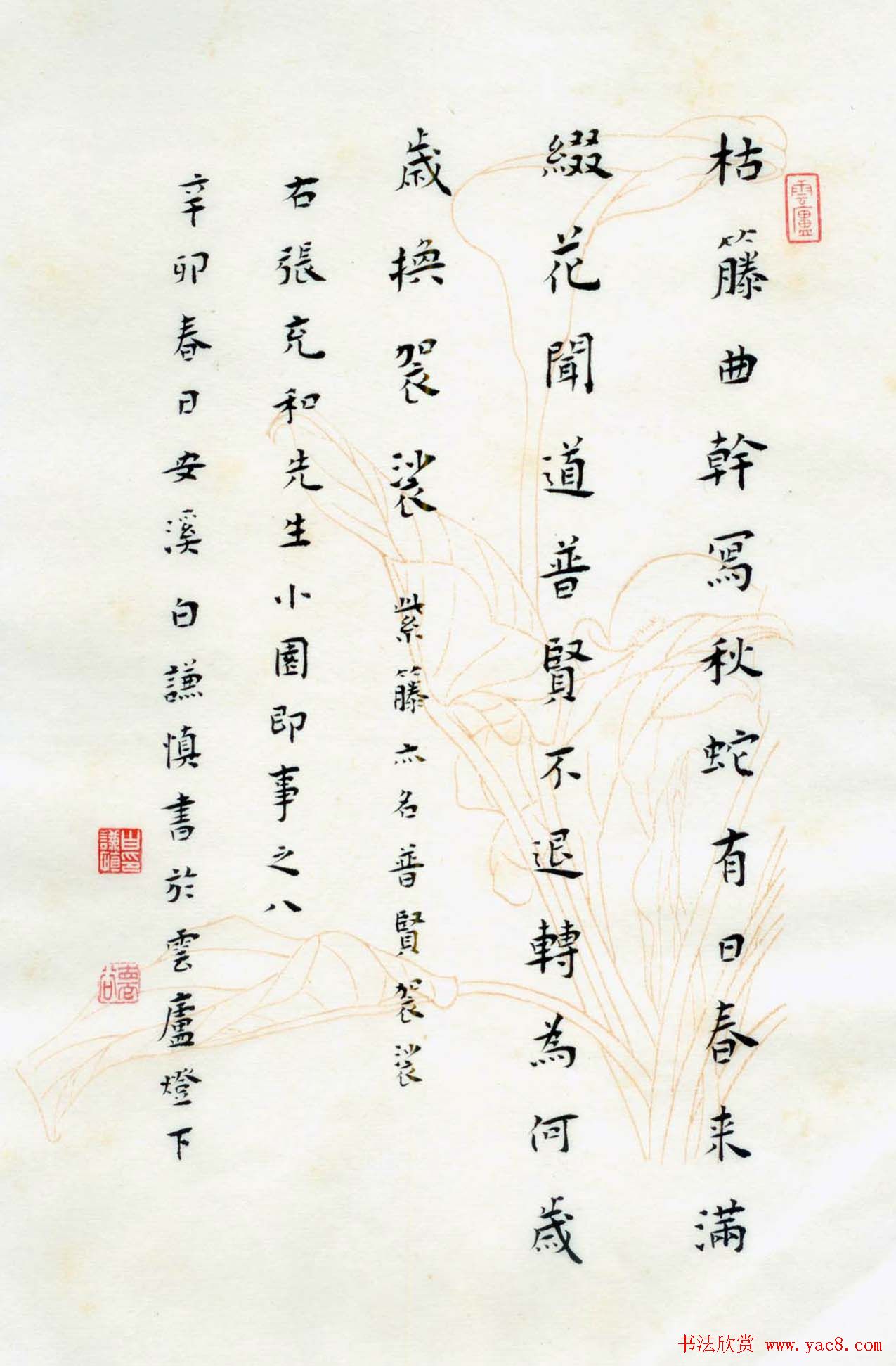 白谦慎楷书册页欣赏《小园即事》