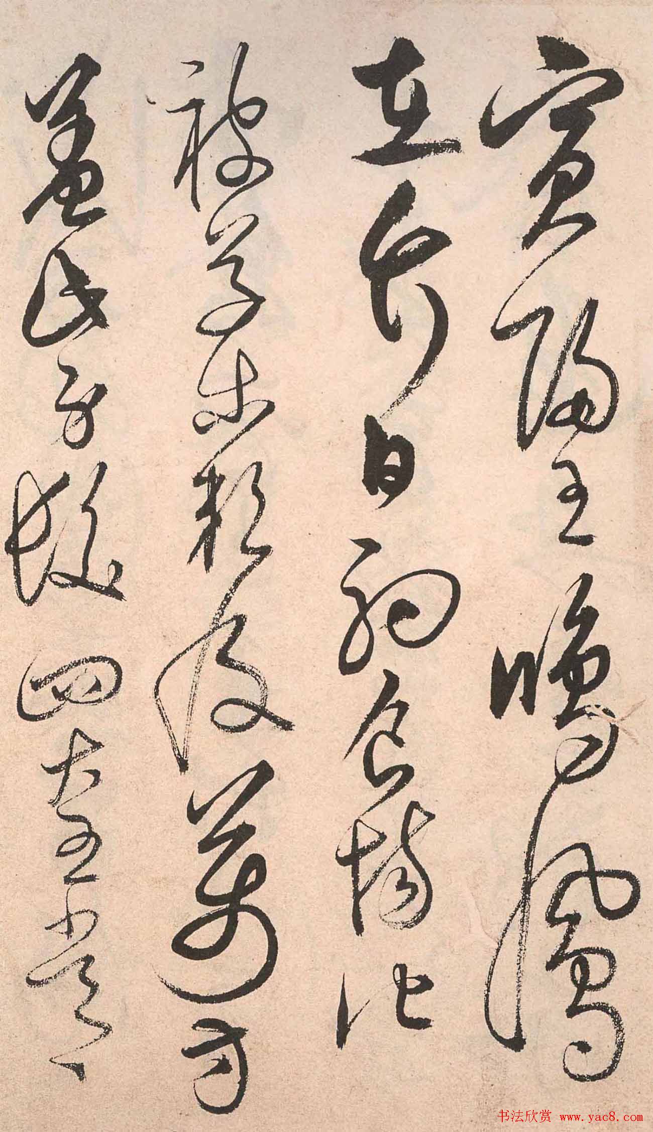 书法字帖欣赏:明人草书《千字文》