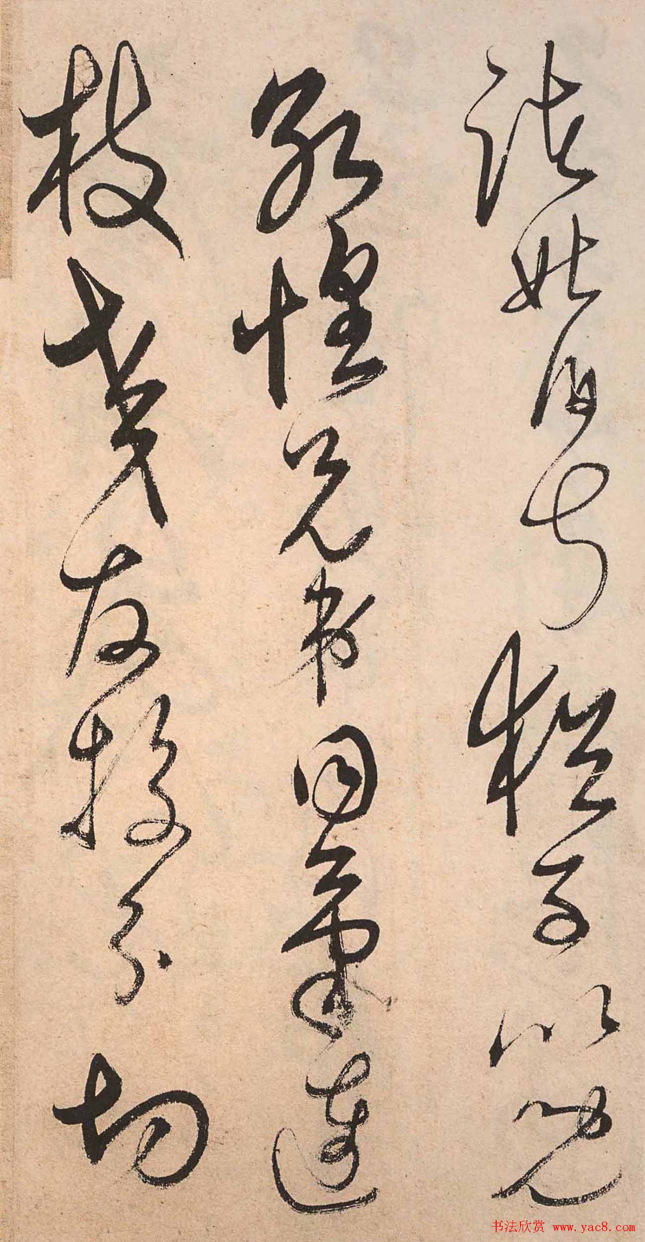 书法字帖欣赏:明人草书《千字文》