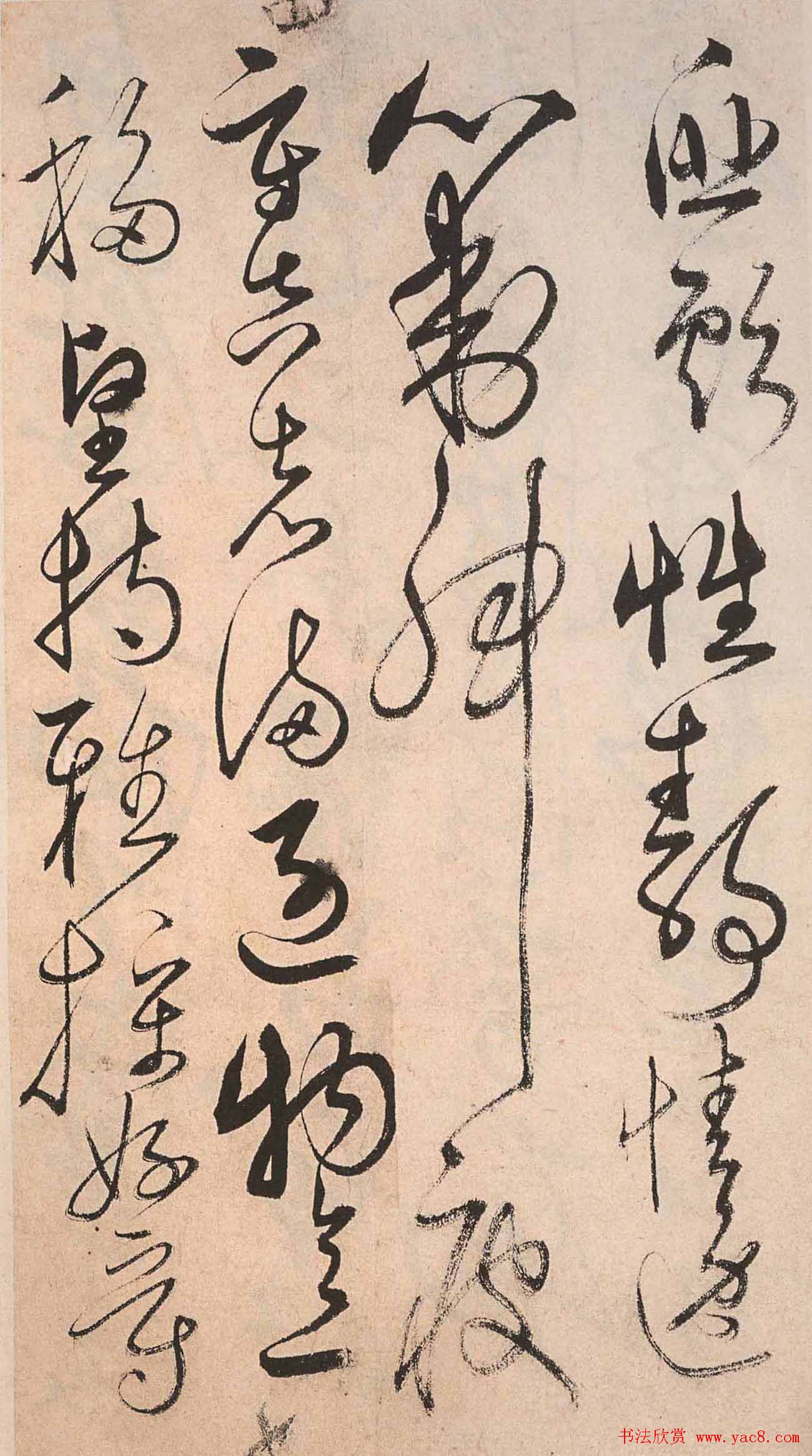 书法字帖欣赏:明人草书《千字文》