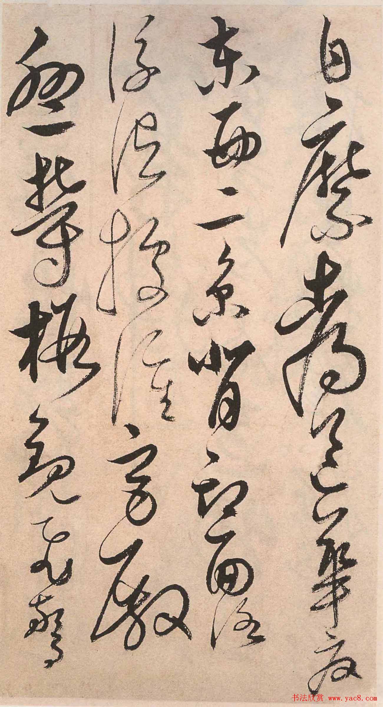 书法字帖欣赏:明人草书《千字文》