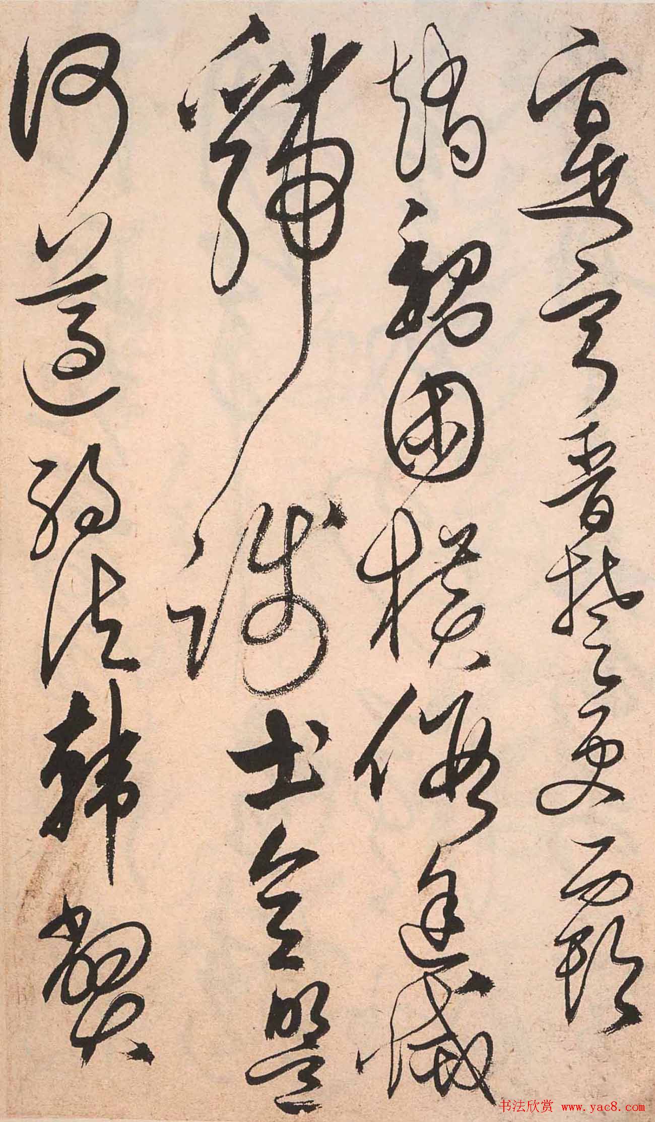 书法字帖欣赏:明人草书《千字文》