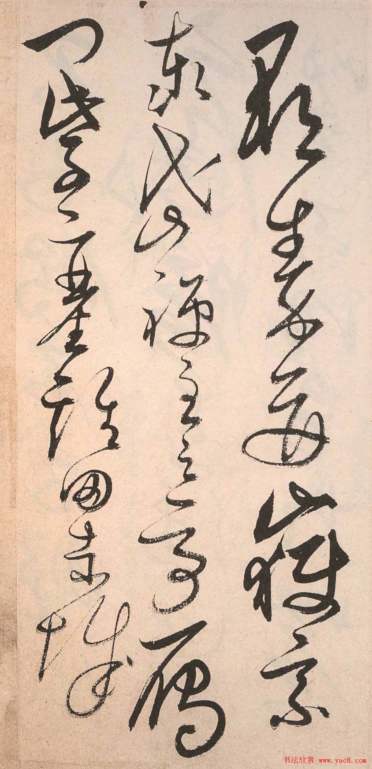 书法字帖欣赏:明人草书《千字文》