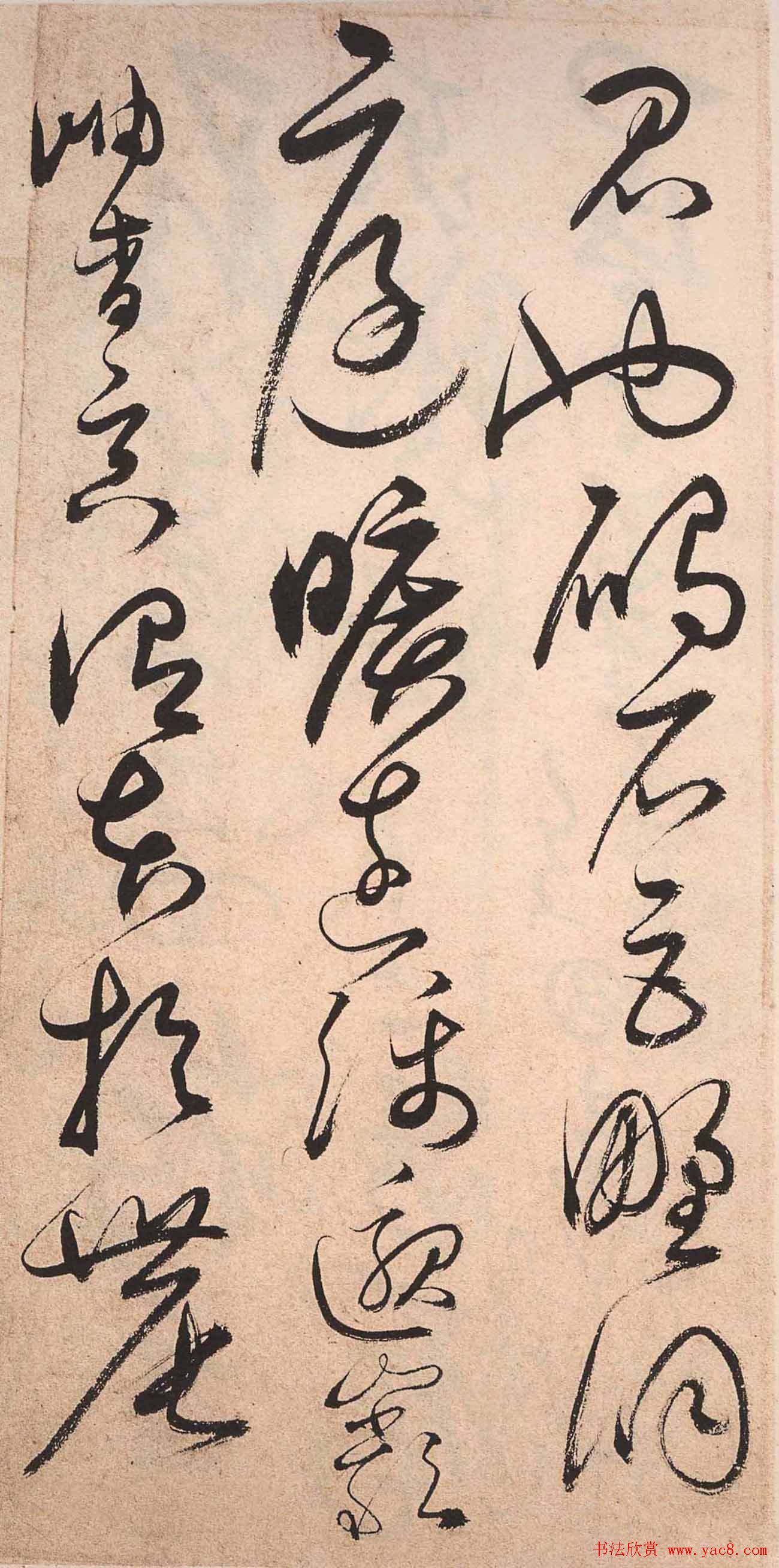 书法字帖欣赏:明人草书《千字文》