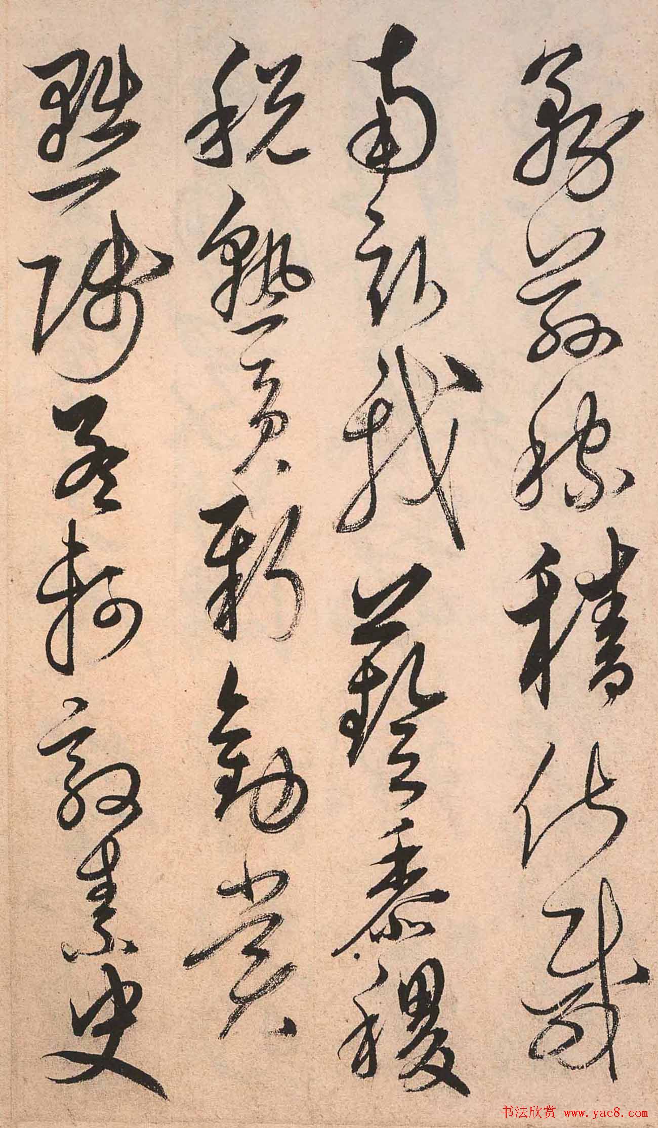 书法字帖欣赏:明人草书《千字文》