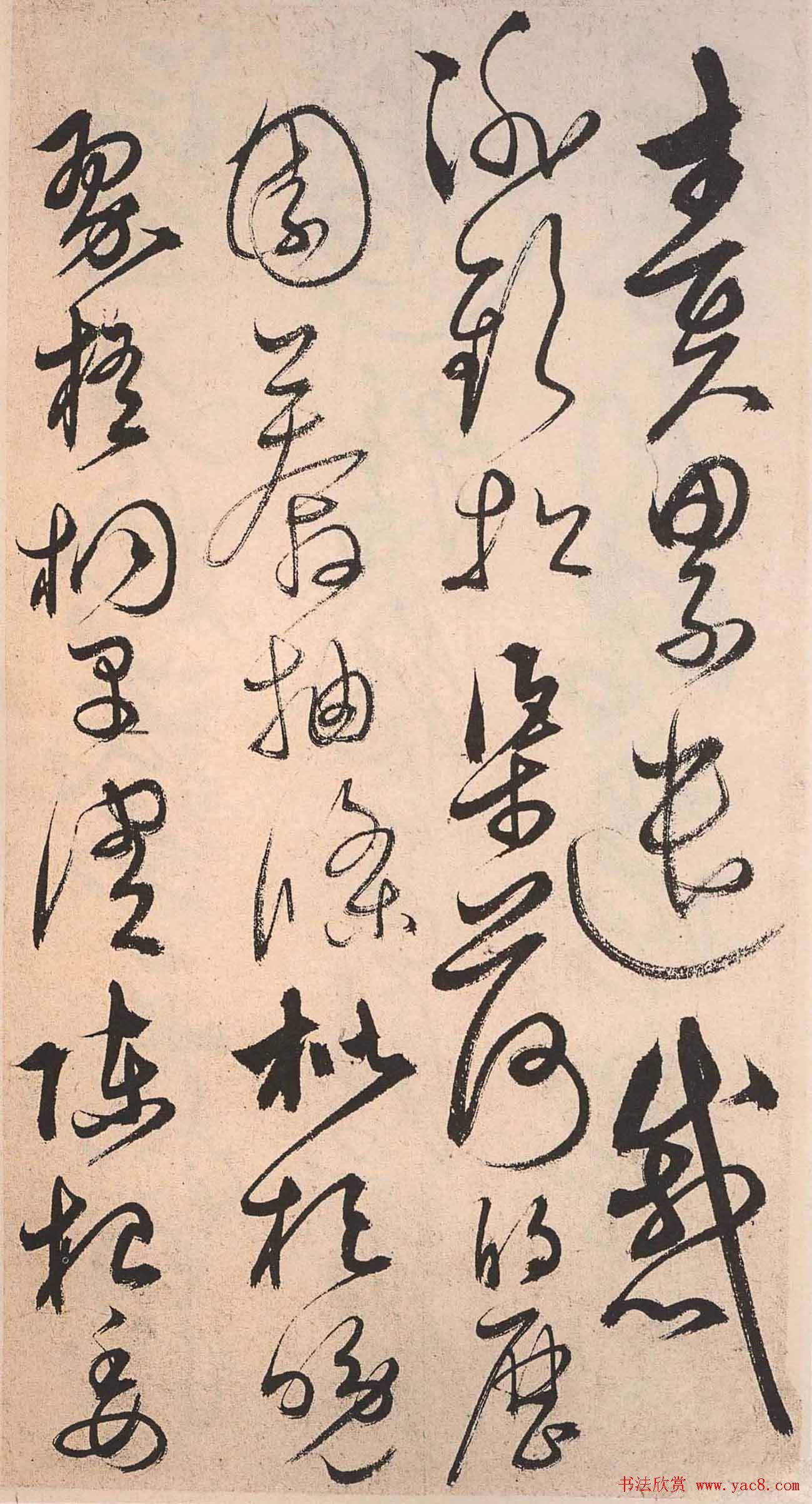 书法字帖欣赏:明人草书《千字文》
