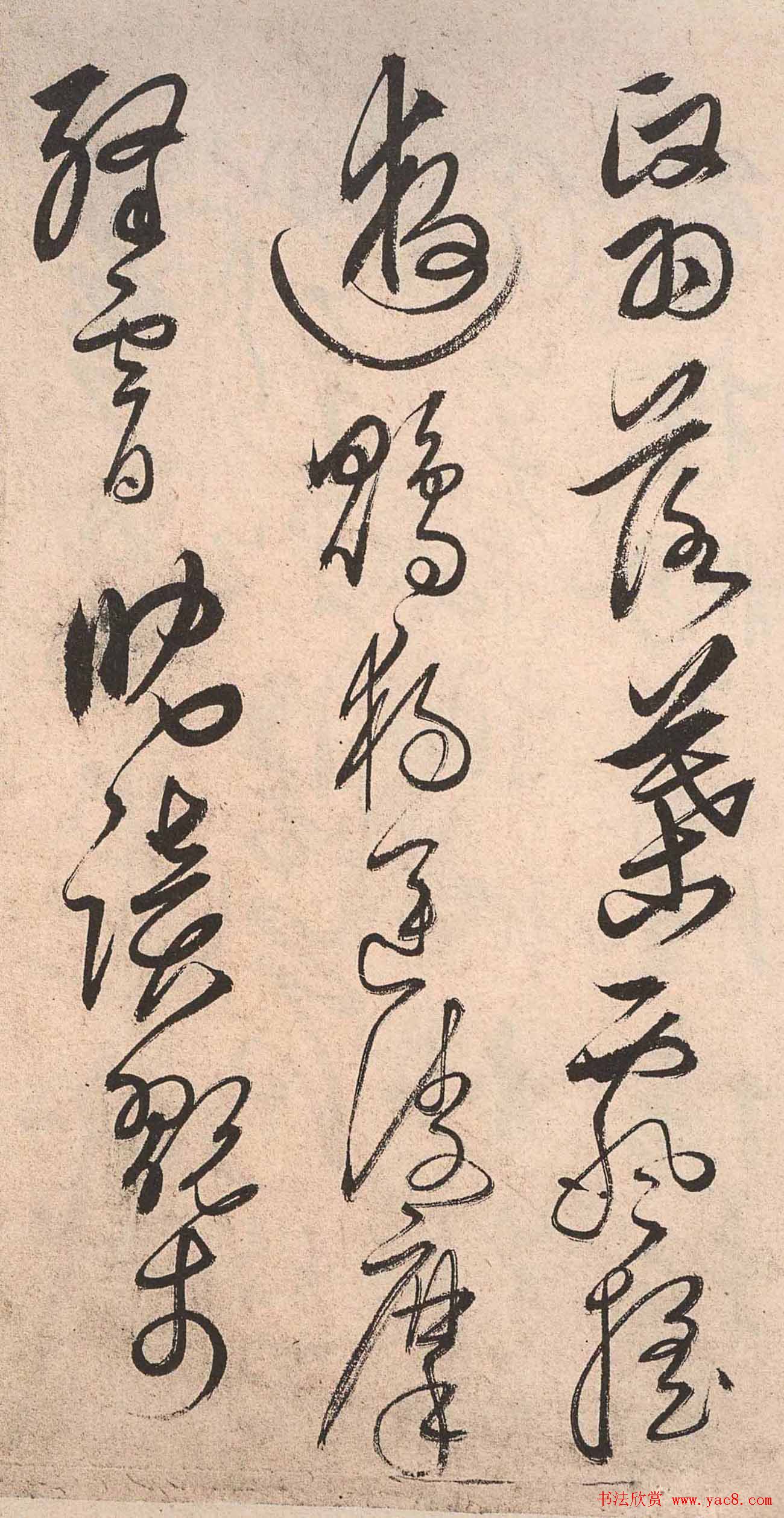 书法字帖欣赏:明人草书《千字文》