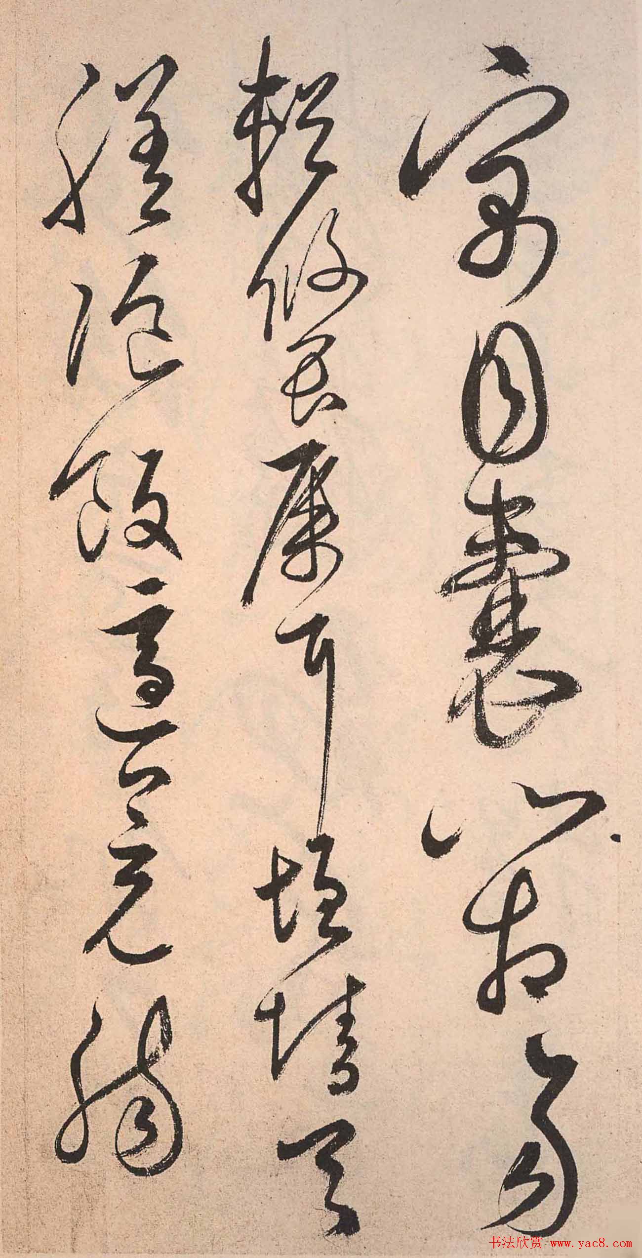 书法字帖欣赏:明人草书《千字文》