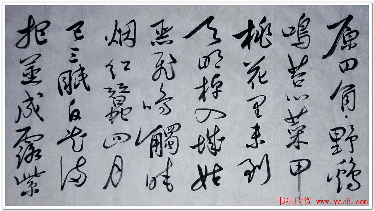 韩戾军行草书法手卷欣赏两幅