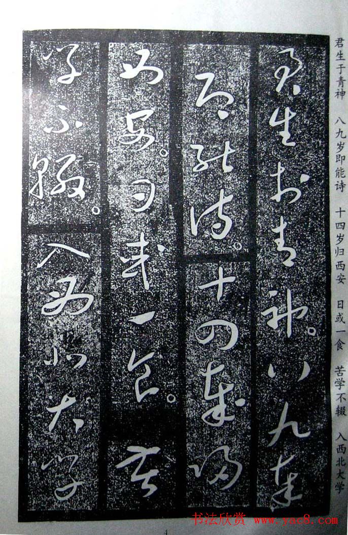 于右任草书欣赏王陆一墓志铭