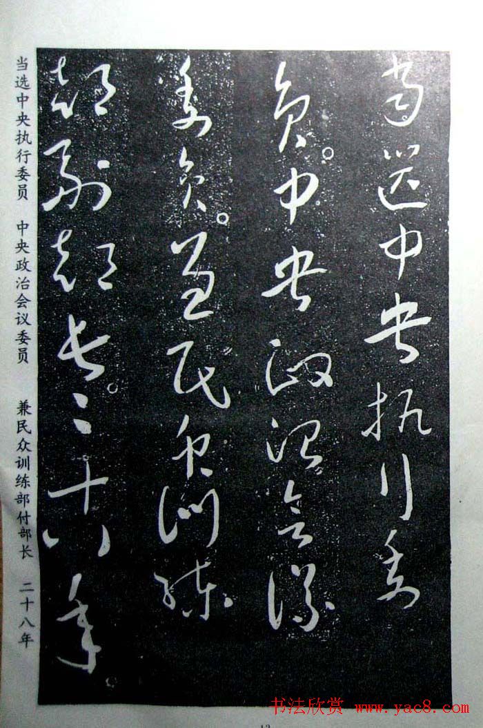 于右任草书欣赏王陆一墓志铭