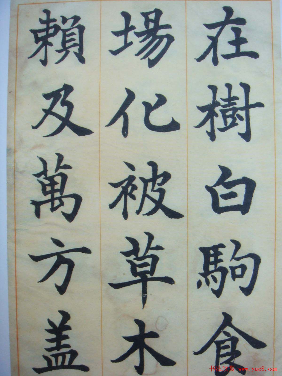 日本书法家辻本史邑楷书欣赏《千字文》