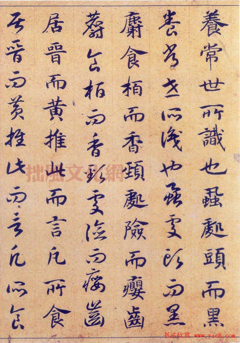 宋高宗赵构真草书法欣赏《嵇康养生论卷》