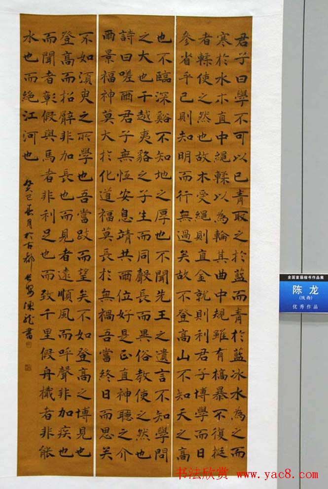 全国首届楷书作品展评委书法和入展作品