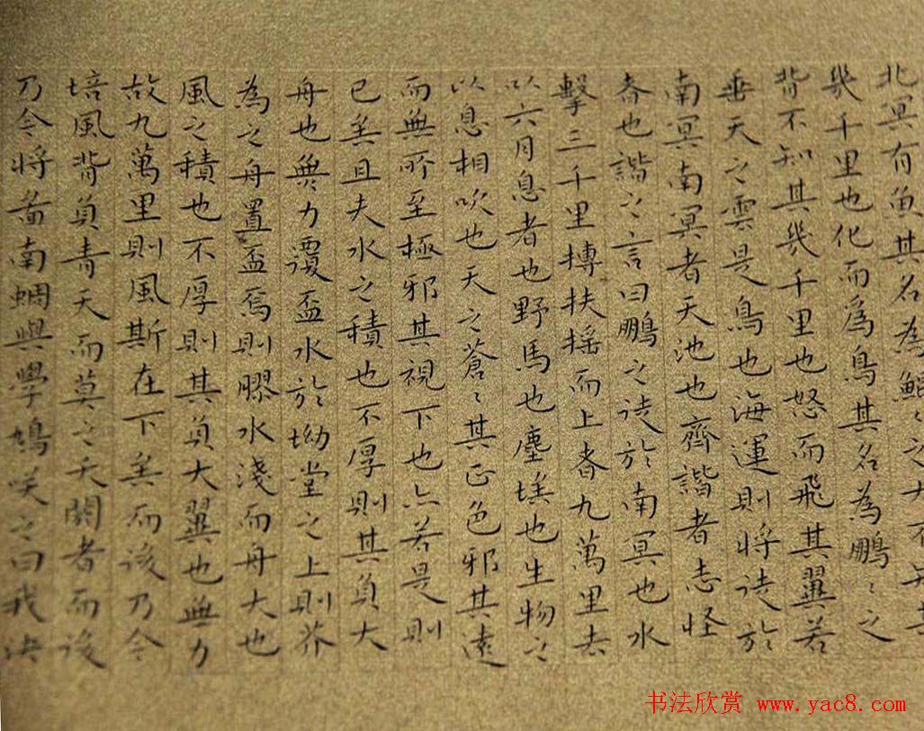 全国首届楷书作品展评委书法和入展作品