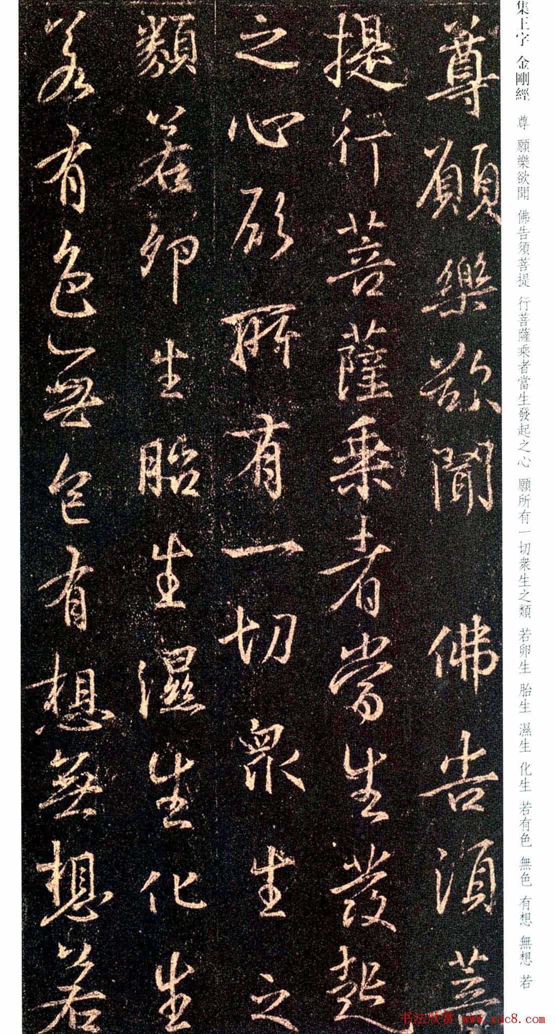 唐代行书碑刻《新集王羲之书金刚经》