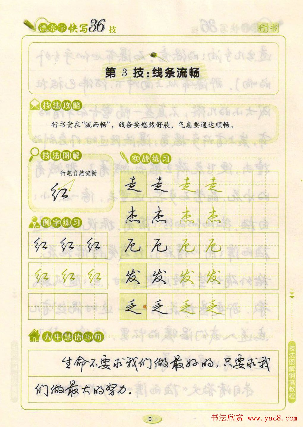 荆霄鹏钢笔行书字帖《漂亮字快写36技》