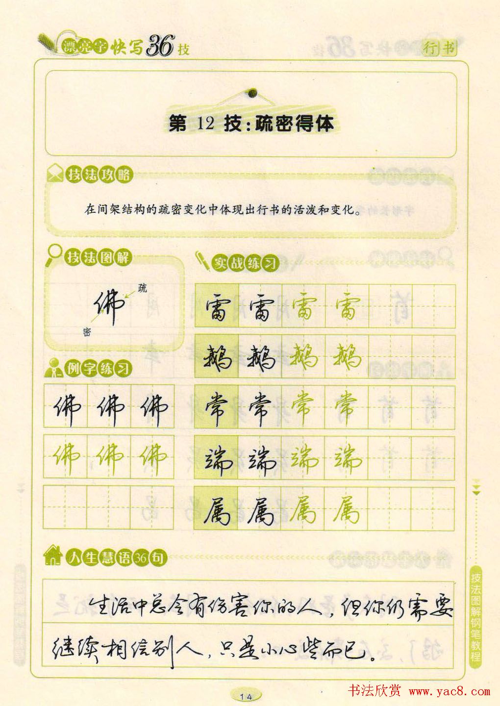 荆霄鹏钢笔行书字帖《漂亮字快写36技》