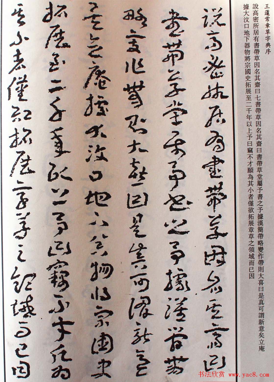王遽常草书欣赏《章草字典序》