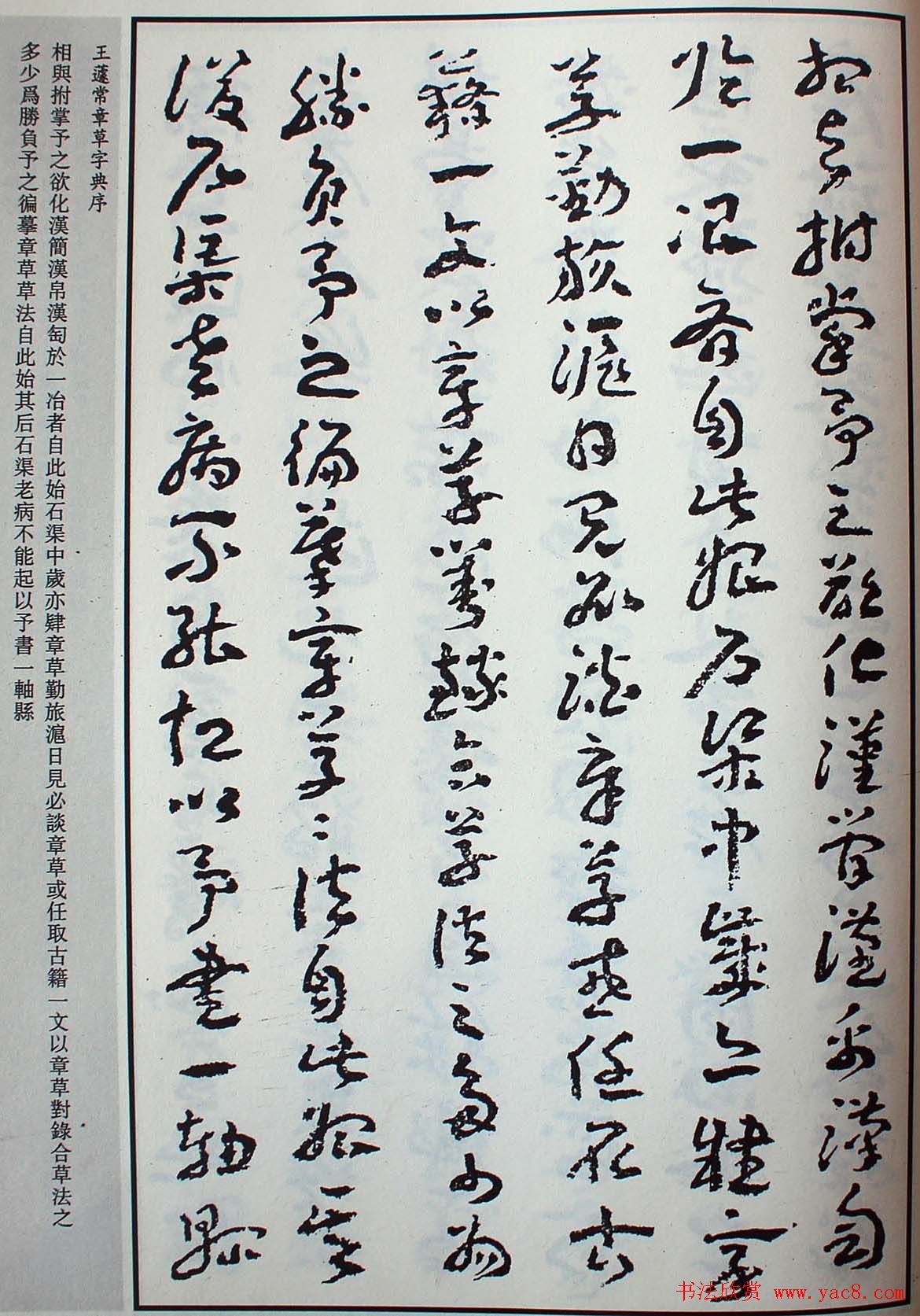 王遽常草书欣赏《章草字典序》