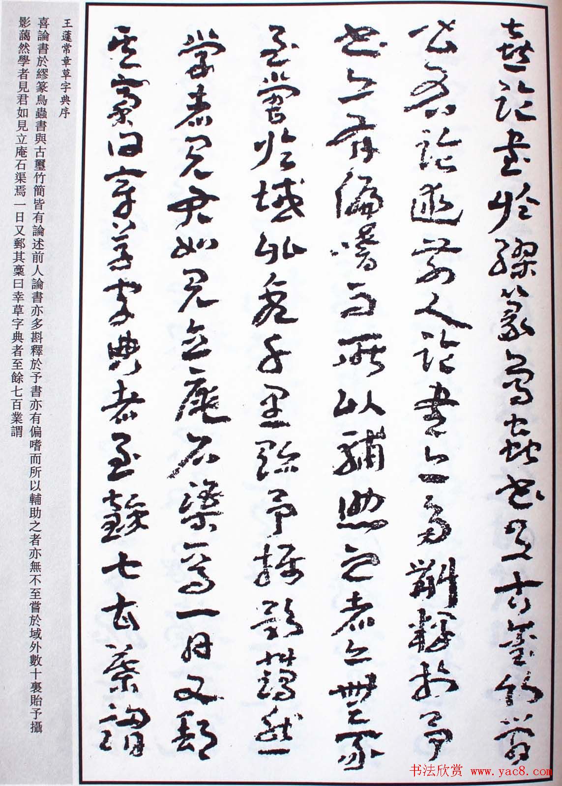 王遽常草书欣赏《章草字典序》