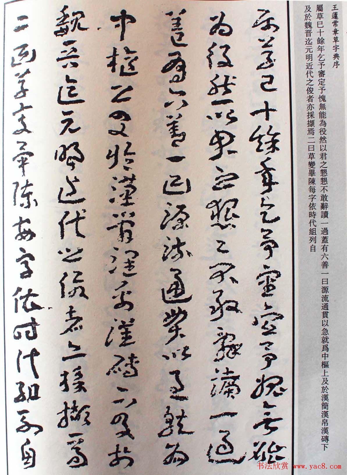 王遽常草书欣赏《章草字典序》