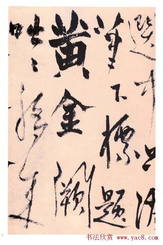 杨维禎铁崖体书法《真镜庵募缘疏》