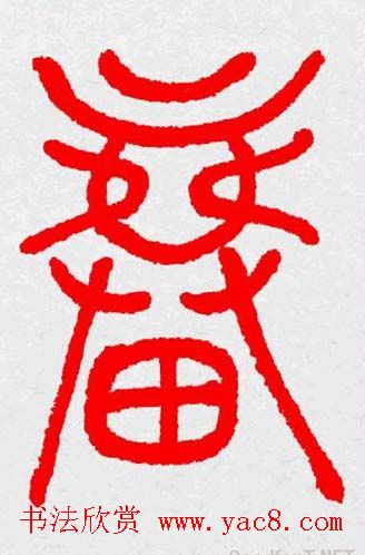 新年送福：福字书写大全系列三