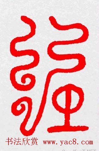 新年送福：福字书写大全系列三