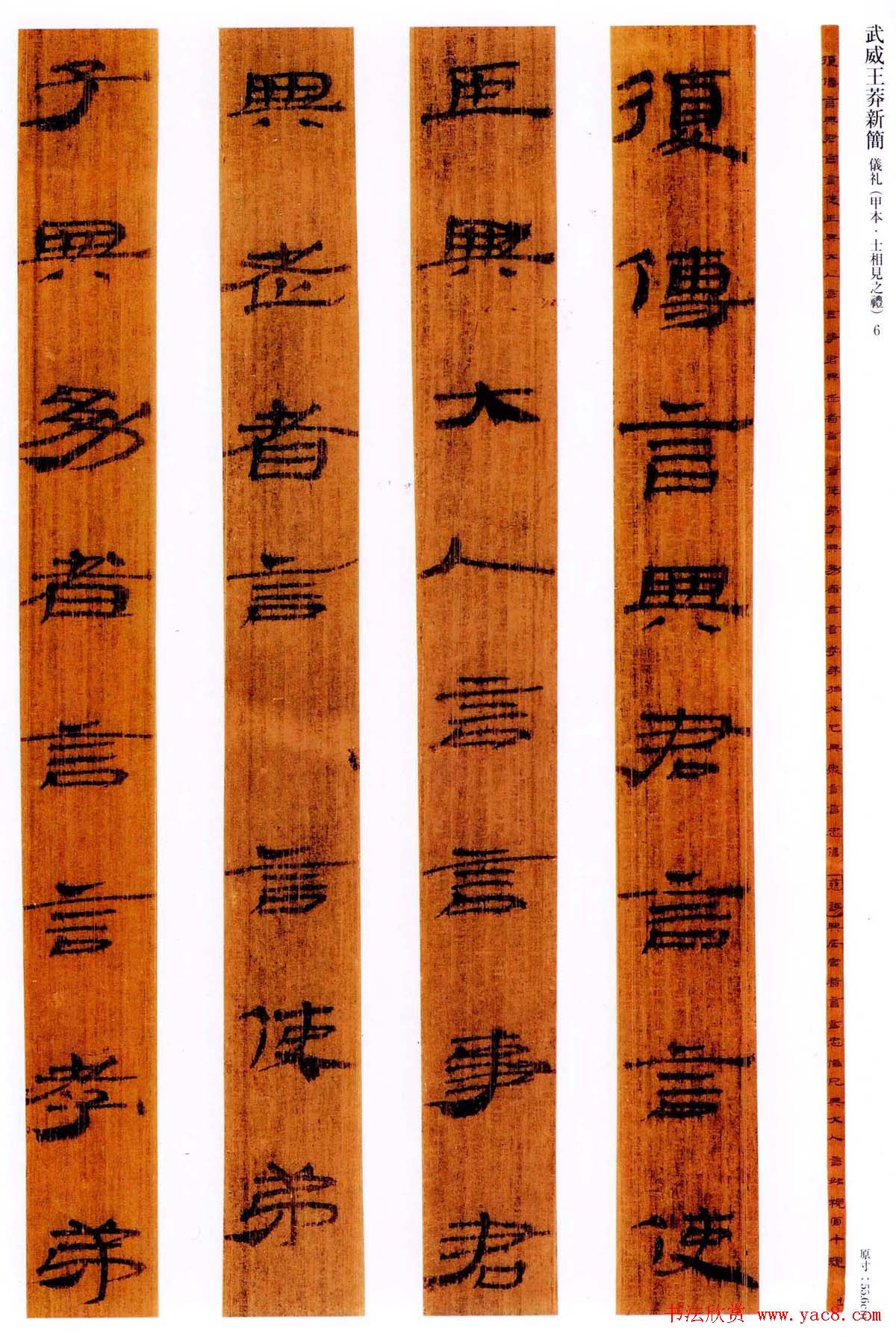 简牍名迹欣赏《武威王莽新简仪礼》