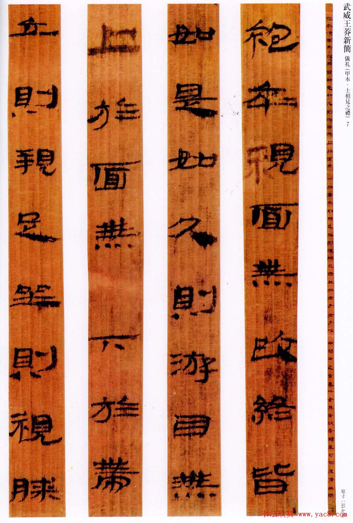 简牍名迹欣赏《武威王莽新简仪礼》