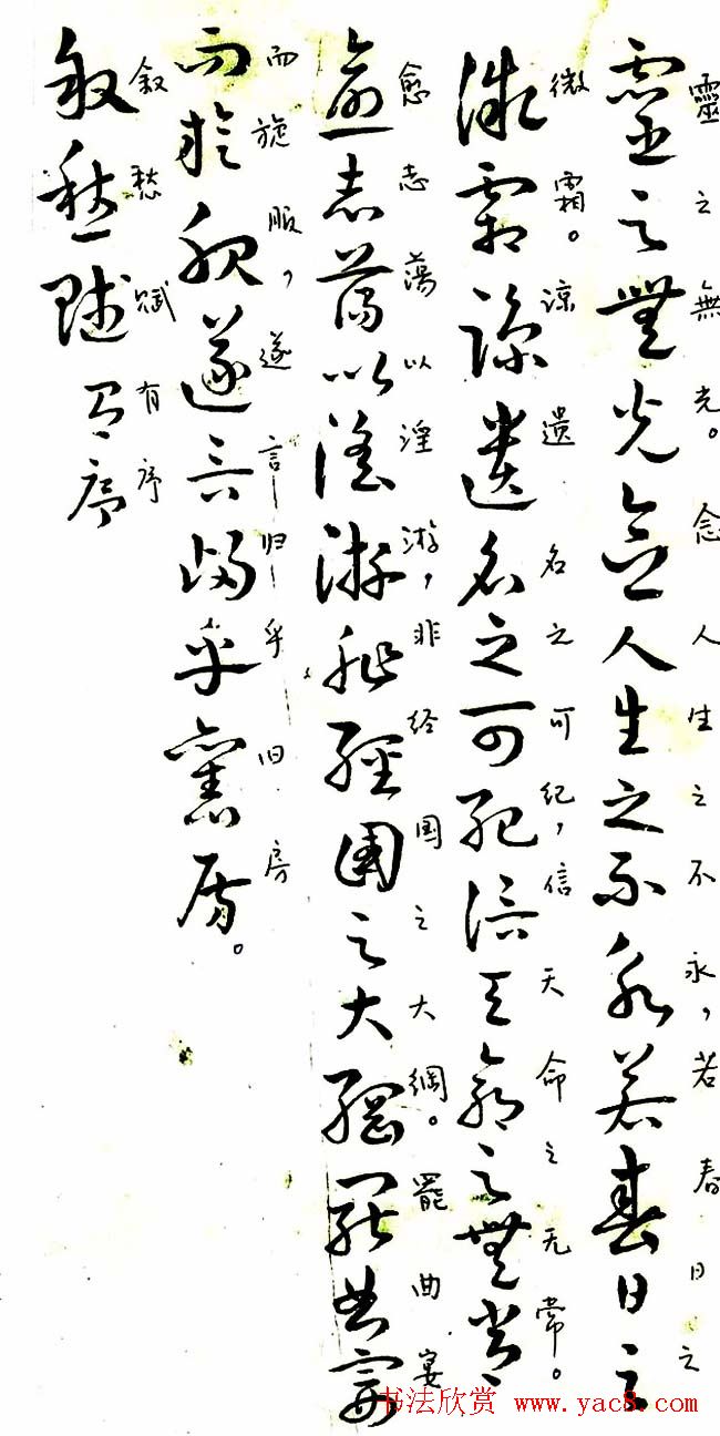 曹植章草作品《曹植书赋稿长卷》