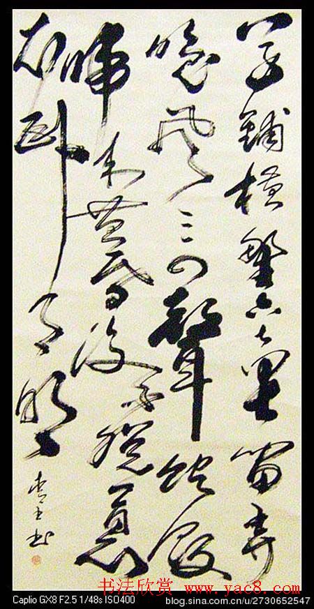 陕西省群众美术书法摄影展览作品欣赏