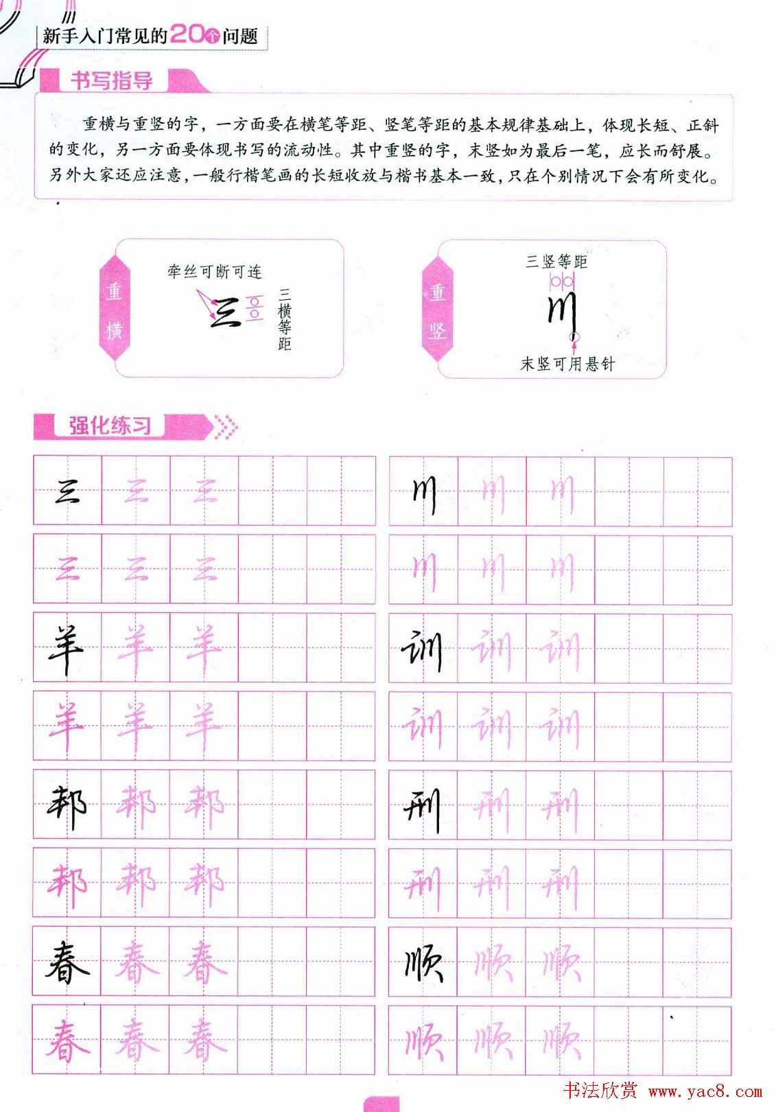 荆霄鹏硬笔行楷字帖《新手入门常见的20个问题》