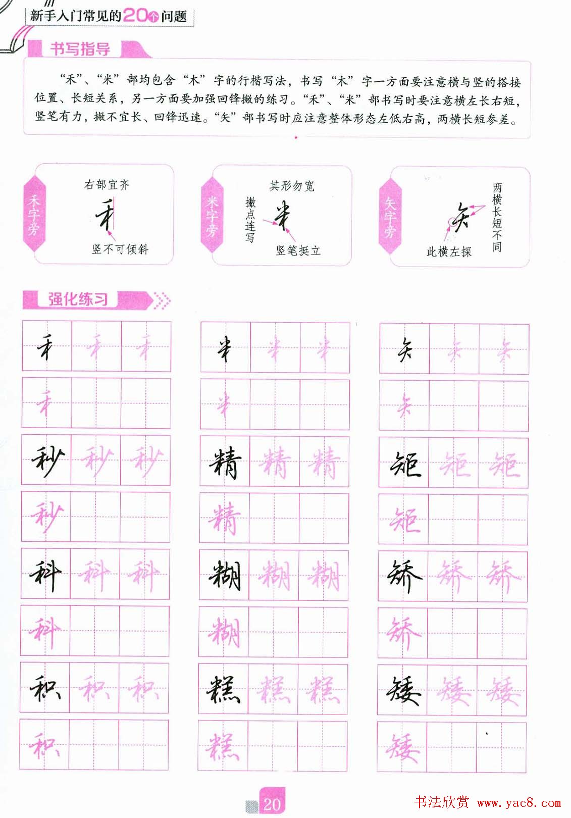 荆霄鹏硬笔行楷字帖《新手入门常见的20个问题》