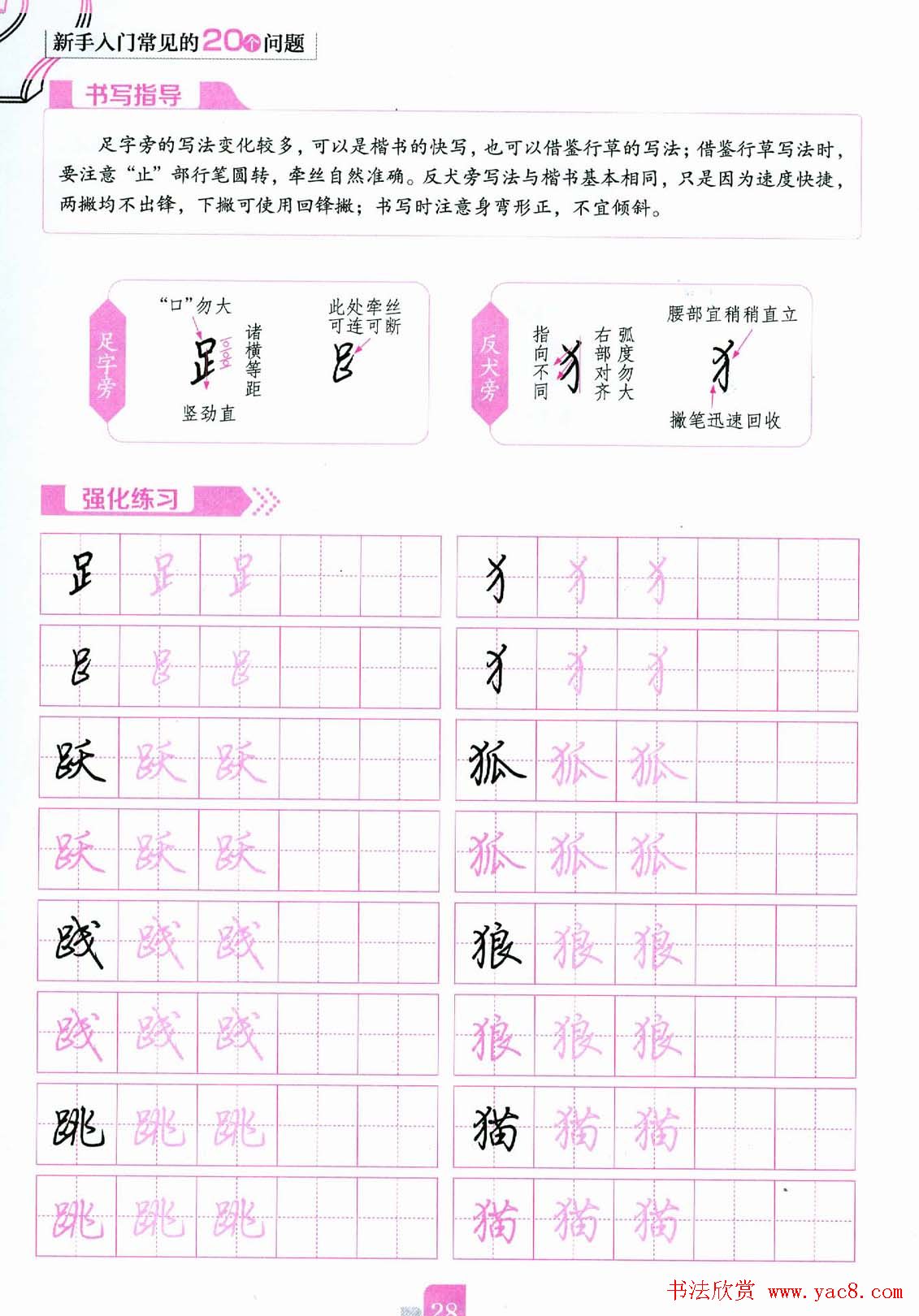 荆霄鹏硬笔行楷字帖《新手入门常见的20个问题》